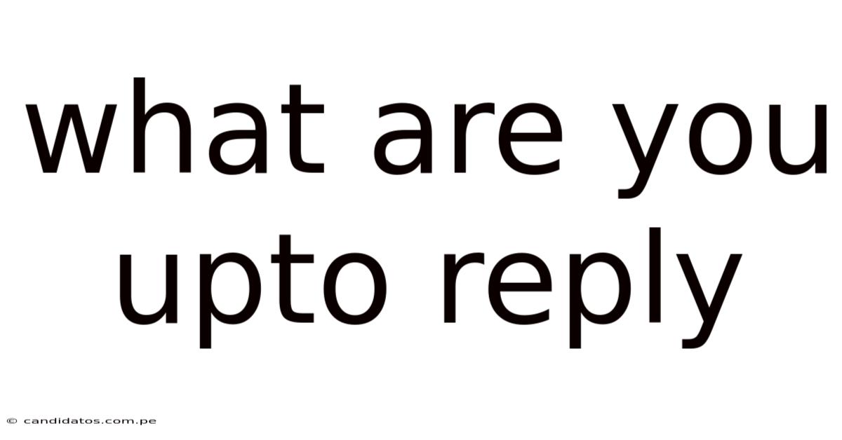What Are You Upto Reply