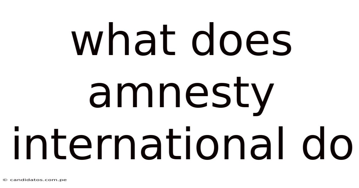 What Does Amnesty International Do