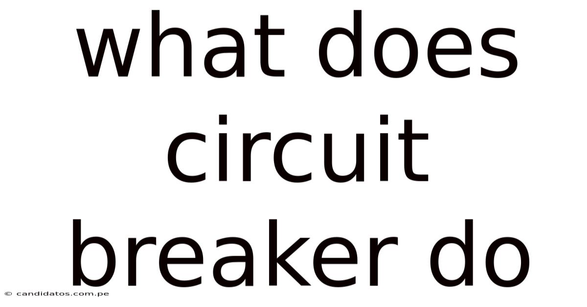 What Does Circuit Breaker Do