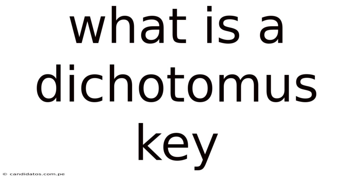What Is A Dichotomus Key