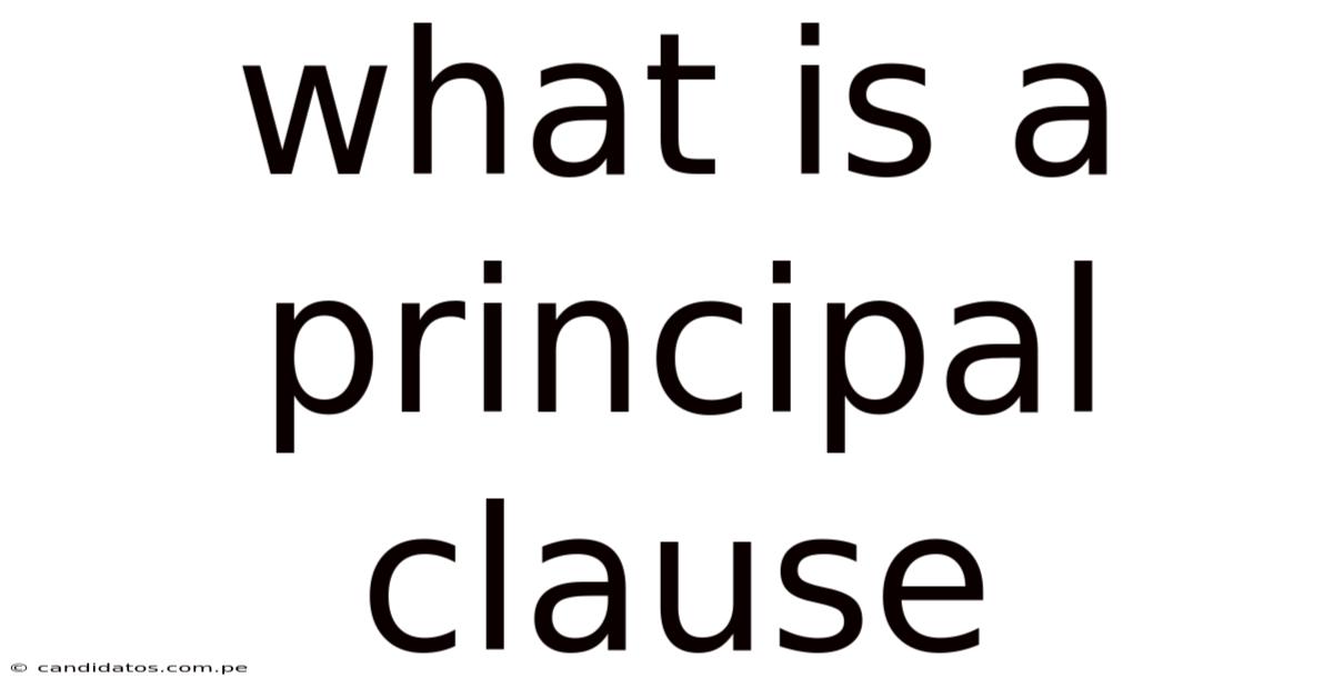 What Is A Principal Clause