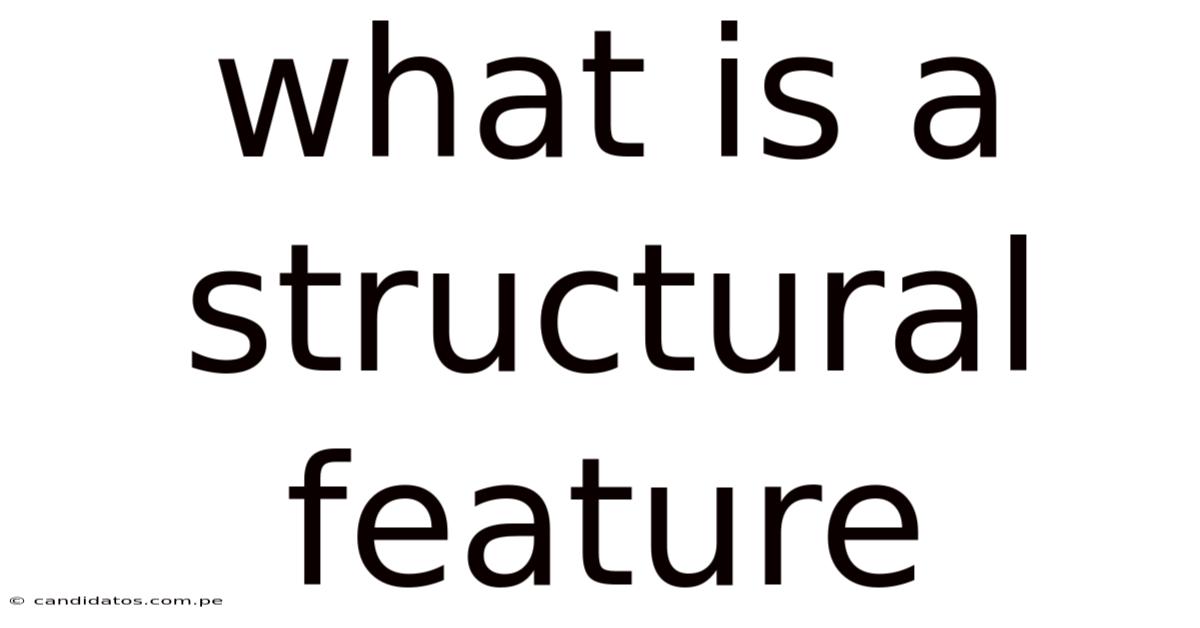 What Is A Structural Feature