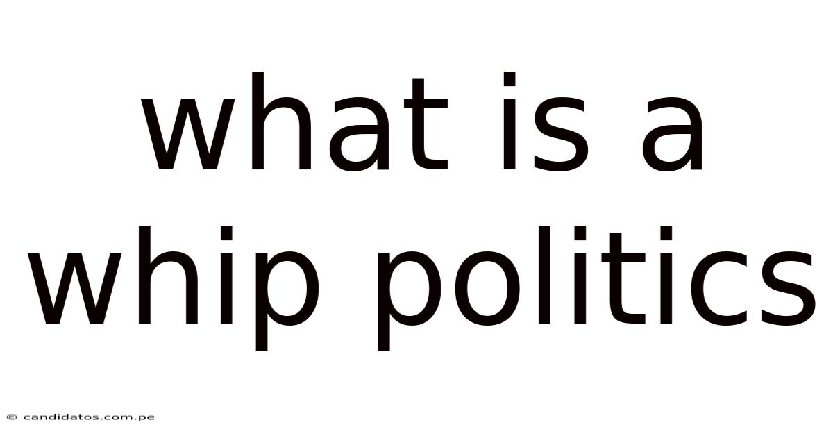 What Is A Whip Politics