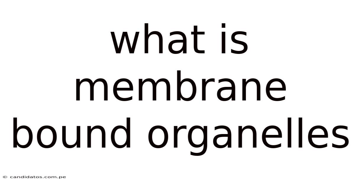 What Is Membrane Bound Organelles