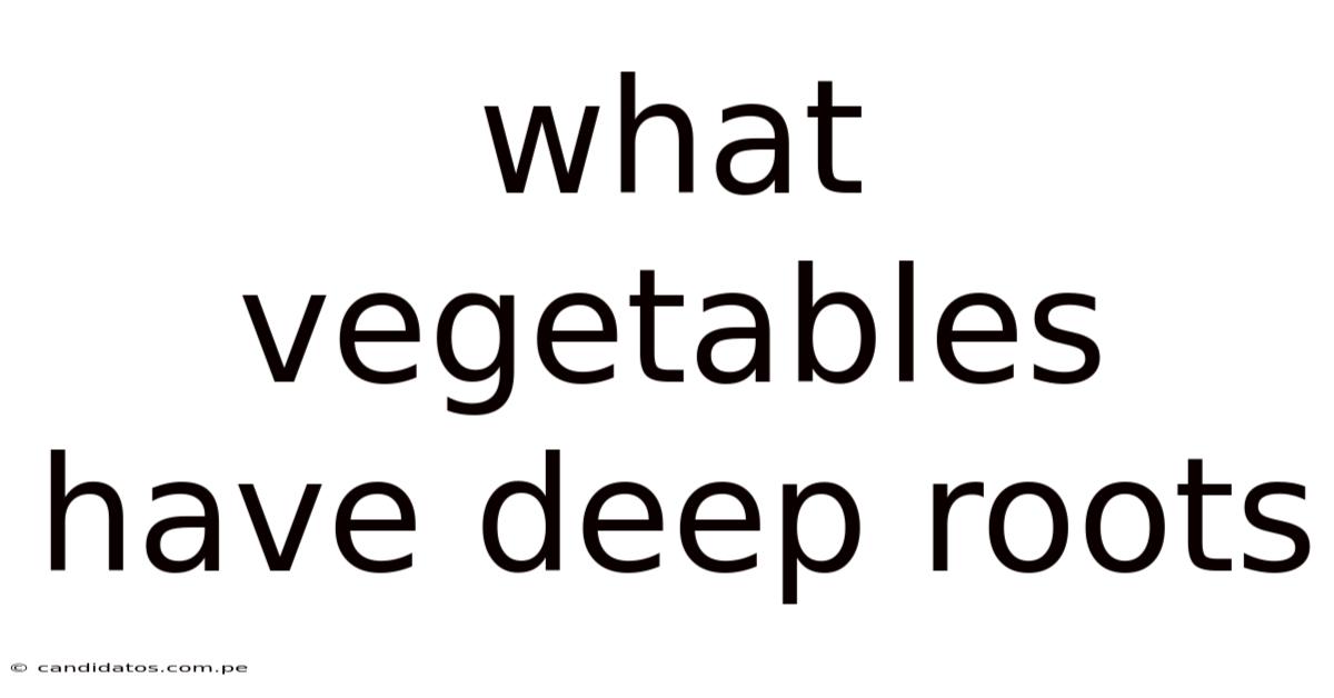 What Vegetables Have Deep Roots