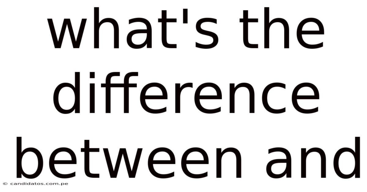 What's The Difference Between And