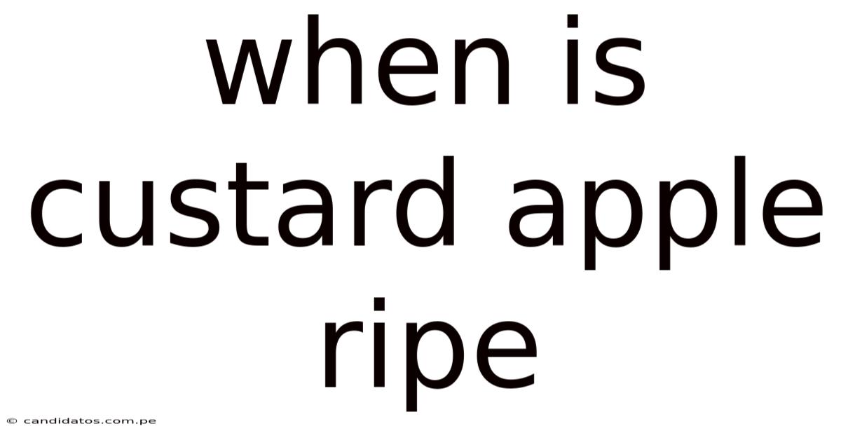 When Is Custard Apple Ripe