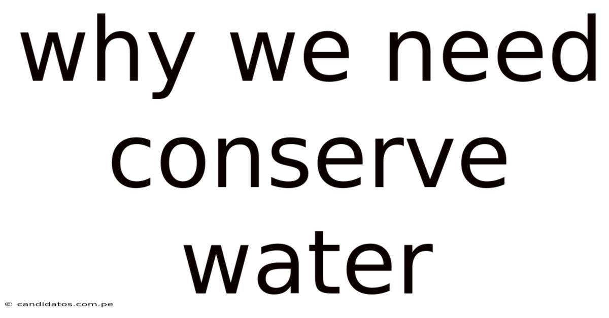 Why We Need Conserve Water