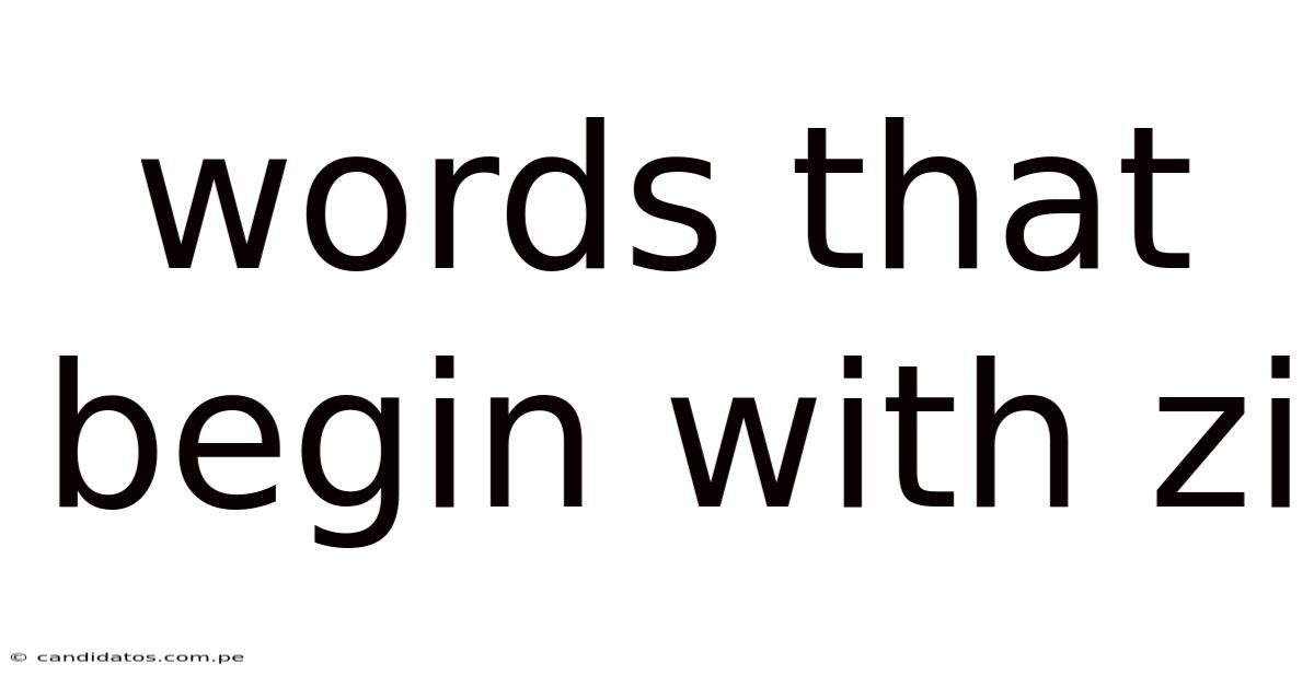 Words That Begin With Zi
