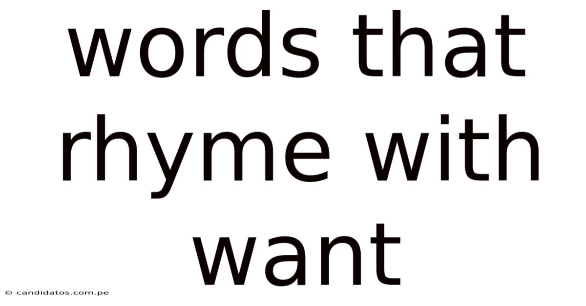 Words That Rhyme With Want