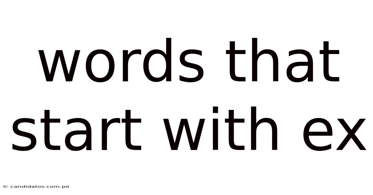 Words That Start With Ex