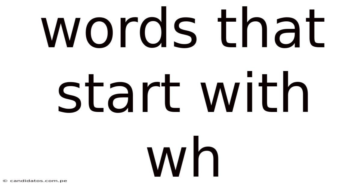 Words That Start With Wh
