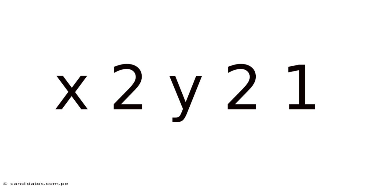 X 2 Y 2 1